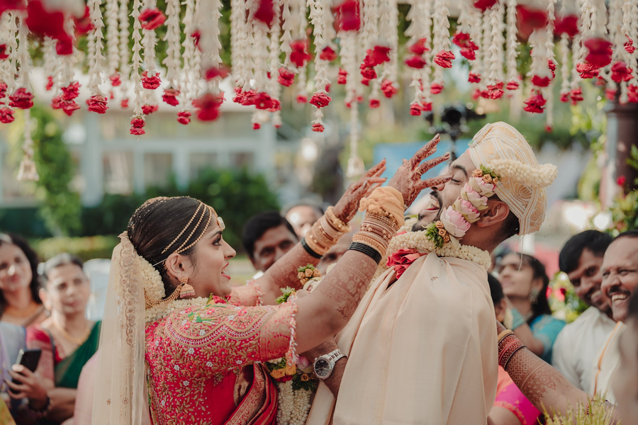 Cover photo of Mangotree Photography